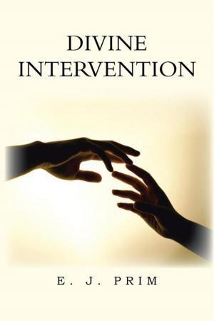 Cover of the book Divine Intervention by Dolores Ann Halward