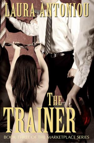 Cover of the book The Trainer by Bridget Taylor