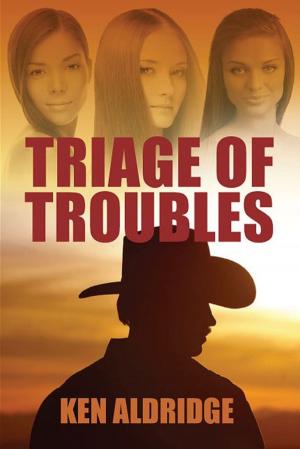Cover of the book Triage of Troubles by Julie L. Kessler