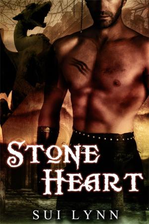Cover of the book Stone Heart by Liza Kay