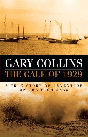 Cover of the book The Gale of 1929 by Bill Rowe