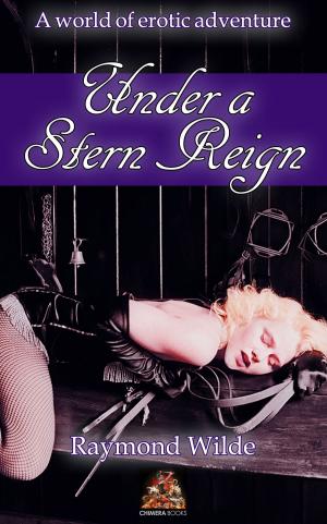 Book cover of Under a Stern Reign