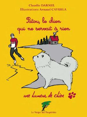 Cover of the book Patou, le chien qui ne servait à rien by Anne Poiré