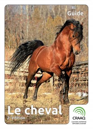 bigCover of the book Le cheval, 2e édition by 