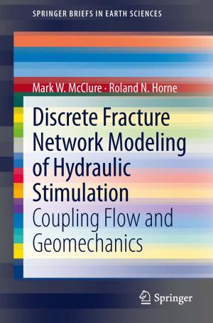 Book cover of Discrete Fracture Network Modeling of Hydraulic Stimulation
