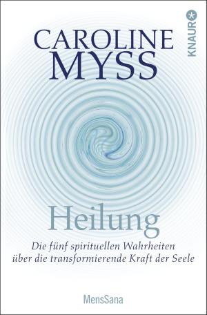 Cover of the book Heilung by Silke Schütze