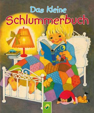 Cover of the book Das kleine Schlummerbuch by Annette Moser
