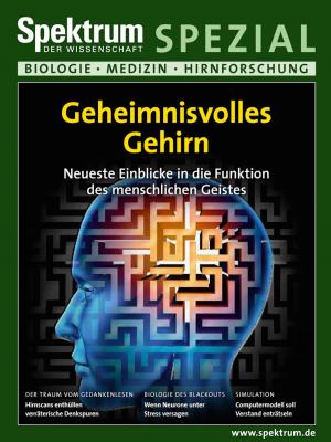 Cover of the book Geheimnisvolles Gehirn by 
