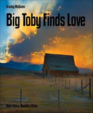 Cover of the book Big Toby Finds Love by Sarah Zama