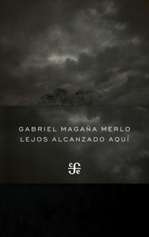 Cover of the book Lejos alcanzado aquí by David Olguín