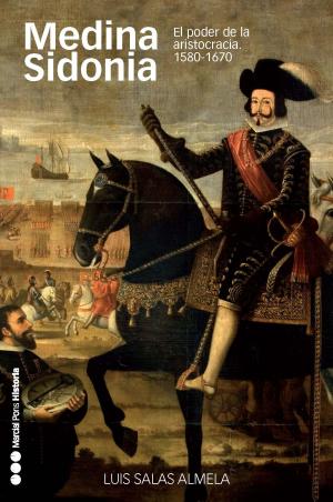 Cover of the book Medina Sidonia by Luis Zaragoza Fernández