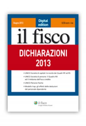 bigCover of the book Dichiarazioni 2013 by 