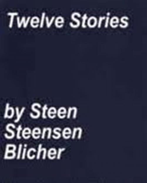 Cover of the book Twelve Stories by Steen Steensen Blicher, WDS Publishing