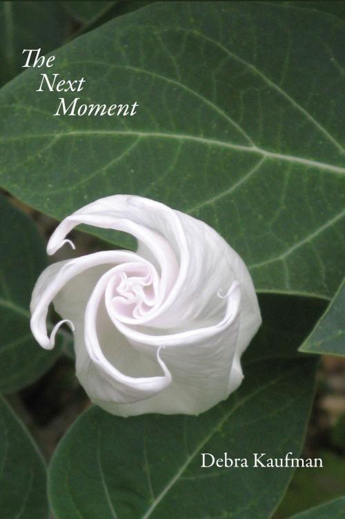 Cover of the book The Next Moment by Debra Kaufman, Jacar Press