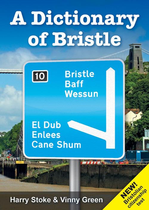 Cover of the book A Dictionary of Bristle by Harry Stoke, Vinny Green, Tangent Books
