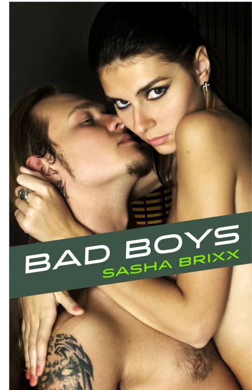 Cover of the book Bad Boys by Sasha Brixx, Feed the Pulps Publishing