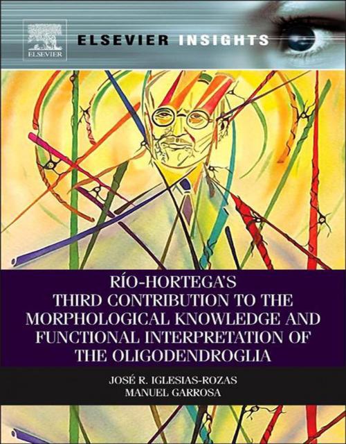 Cover of the book Rio-Hortega's Third Contribution to the Morphological Knowledge and Functional Interpretation of the Oligodendroglia by Jose R. Iglesias-Rozas, Manuel Garrosa, Elsevier Science