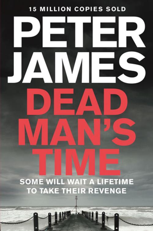 Cover of the book Dead Man's Time by Peter James, Pan Macmillan