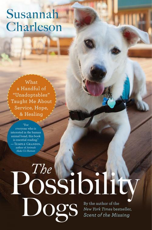 Cover of the book The Possibility Dogs by Susannah Charleson, HMH Books