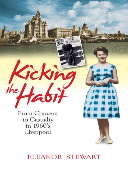 Cover of the book Kicking the habit by The Wright Sisters, Lion Hudson LTD