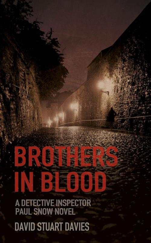 Cover of the book Brothers in Blood by David Stuart  Davies, The History Press