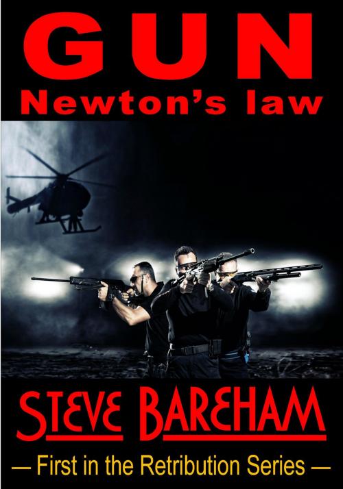 Cover of the book GUN: Newton's Law by Steve Bareham, Summa Publishing