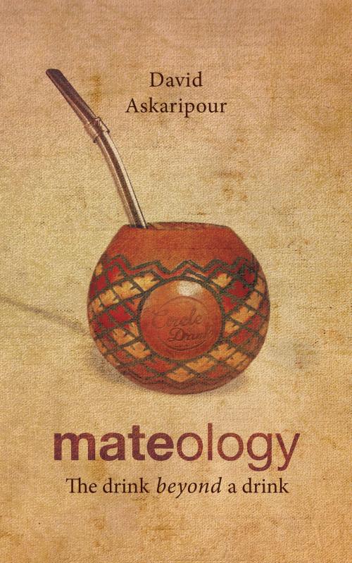 Cover of the book Mateology by David Askaripour, David Askaripour