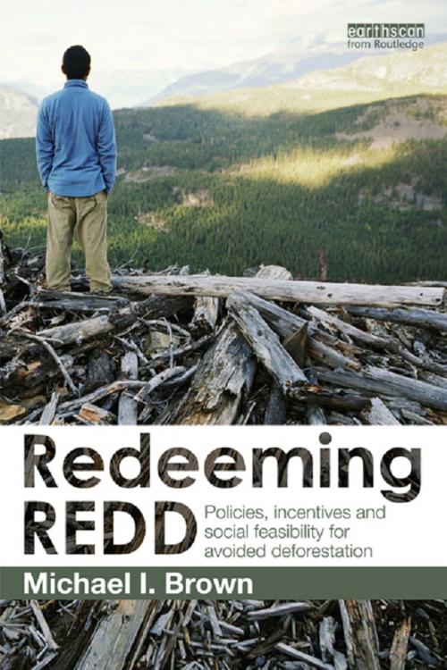 Cover of the book Redeeming REDD by Michael I. Brown, Taylor and Francis