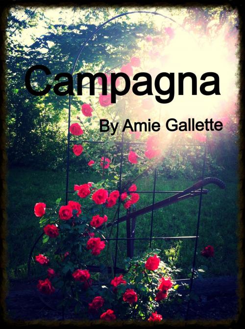 Cover of the book Campagna by Amie Gallette, Amie Gallette
