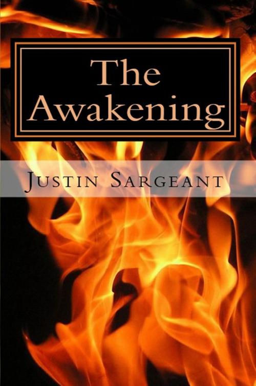 Cover of the book The Awakening by Justin Sargeant, Justin Sargeant