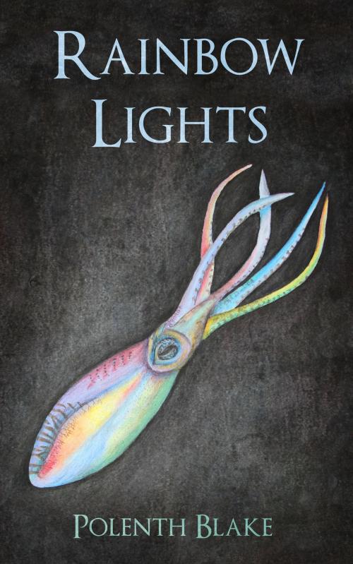 Cover of the book Rainbow Lights by Polenth Blake, Polenth Blake