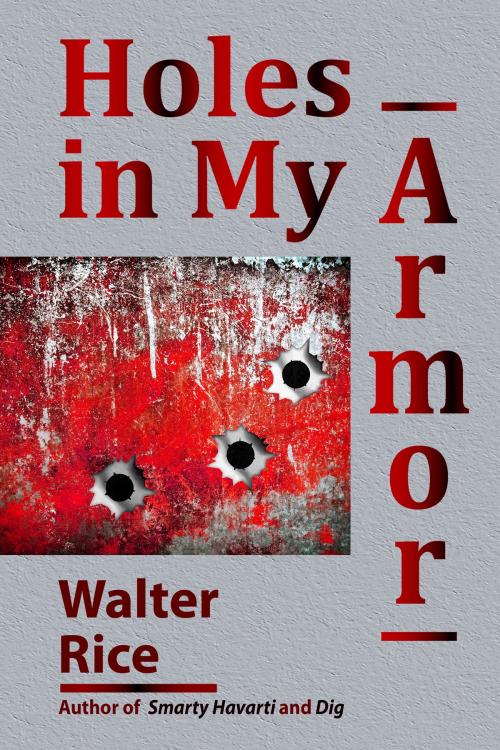 Cover of the book Holes in My Armor by Walter Rice, Walter Rice