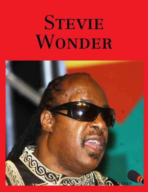 Cover of the book Stevie Wonder by Orlando Maloney, Lulu.com