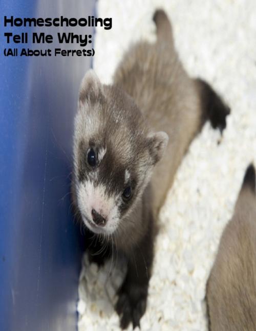 Cover of the book Homeschooling Tell Me Why: (All About Ferrets) by Sean Mosley, Lulu.com