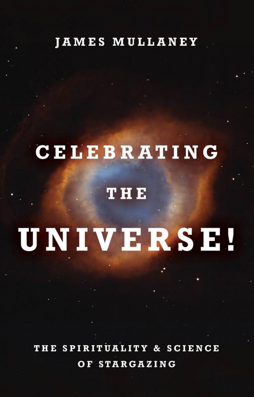 Cover of the book Celebrating the Universe! by James Mullaney, Hay House