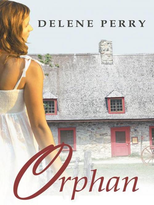 Cover of the book Orphan by Delene Perry, Abbott Press