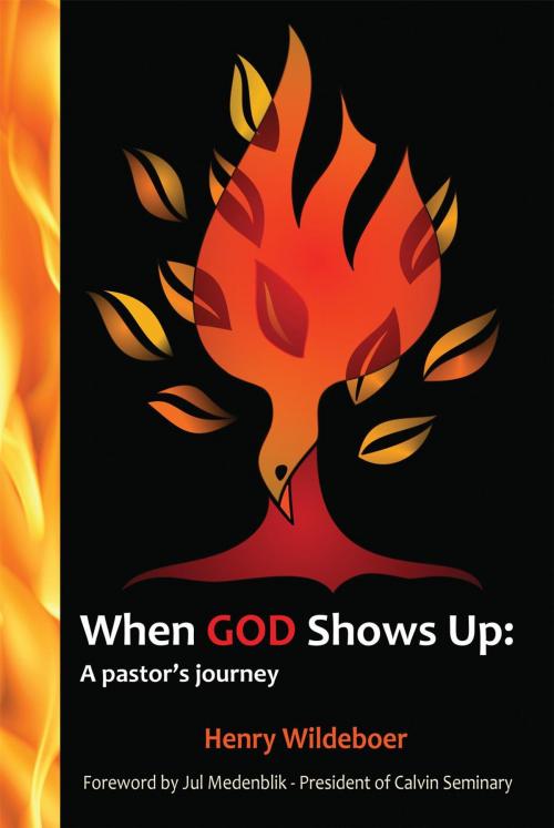 Cover of the book When God Shows Up by Henry Wildeboer, Essence Publishing