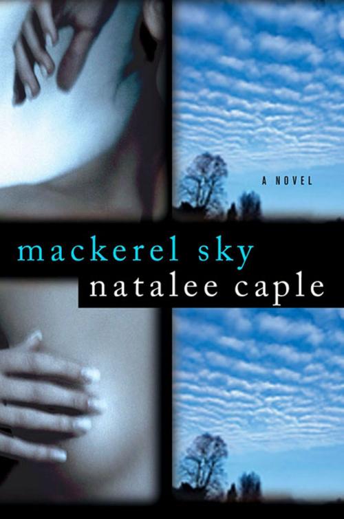 Cover of the book Mackerel Sky by Natalee Caple, St. Martin's Press