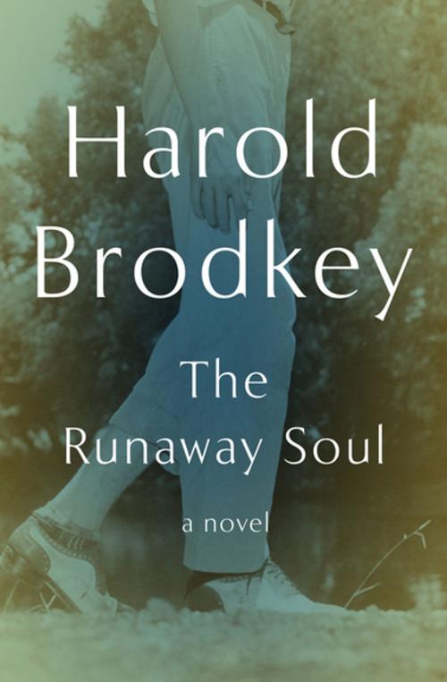 Cover of the book The Runaway Soul by Harold Brodkey, Open Road Media