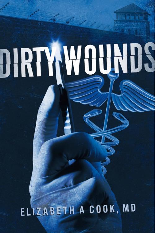 Cover of the book Dirty Wounds by Elizabeth A Cook, MD, BookBaby