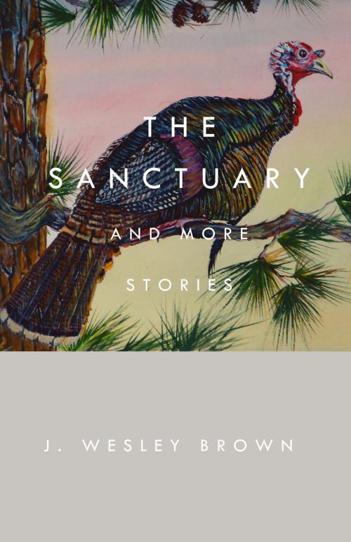 Cover of the book The Sanctuary by J. Wesley Brown, BookBaby