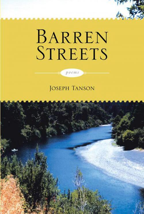 Cover of the book Barren Streets by Joseph Tanson, Xlibris US