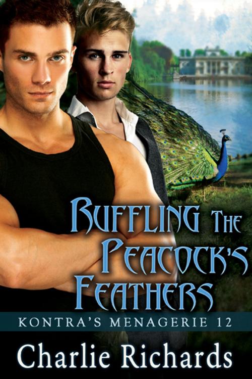 Cover of the book Ruffling the Peacock's Feathers by Charlie Richards, eXtasy Books Inc