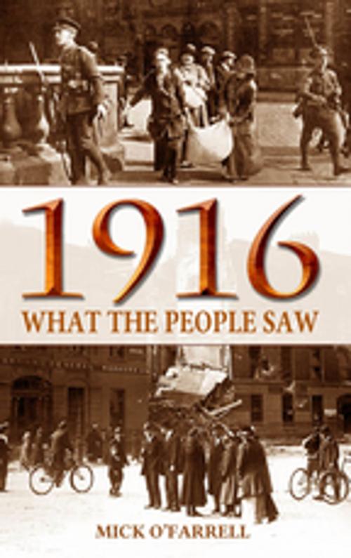 Cover of the book 1916: What the People Saw During the 1916 Rising by Mick O'Farrell, Mercier Press