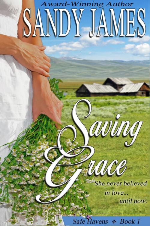 Cover of the book Saving Grace (Safe Havens 1) by Sandy James, Sandy James