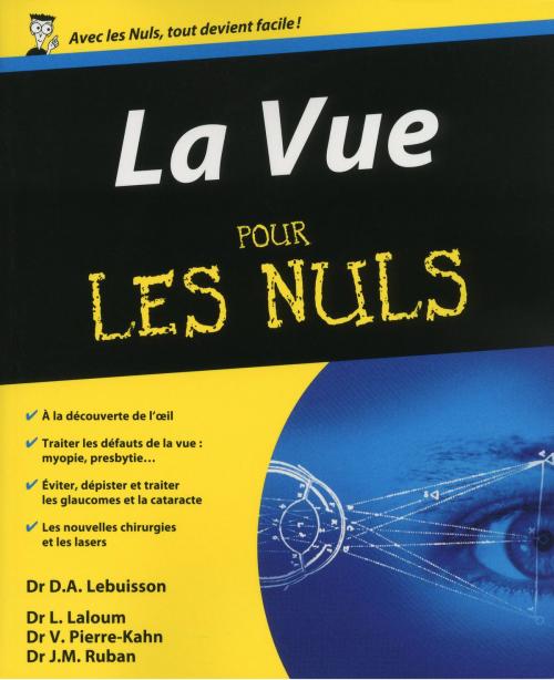 Cover of the book La Vue Pour les Nuls by Dan Alexandre LEBUISSON, edi8