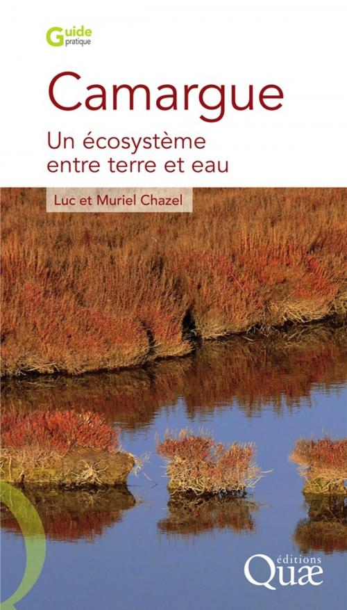 Cover of the book Camargue by Chazel Luc, Chazel Muriel, Quae