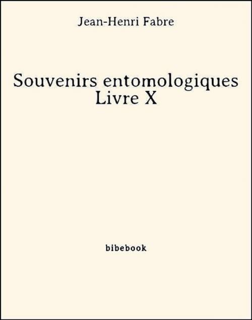 Cover of the book Souvenirs entomologiques - Livre X by Jean-henri Fabre, Jean-Henri Fabre, Bibebook