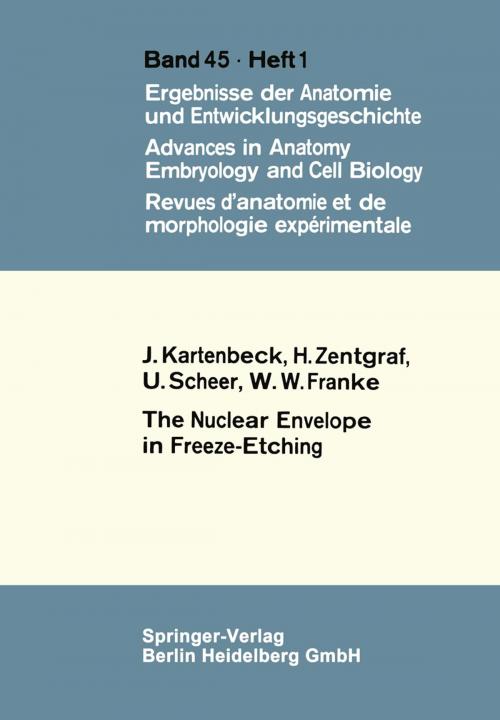 Cover of the book The Nuclear Envelope in Freeze-Etching by U. Scheer, W. W. Franke, J. Kartenbeck, H. Zentgraf, Springer Berlin Heidelberg