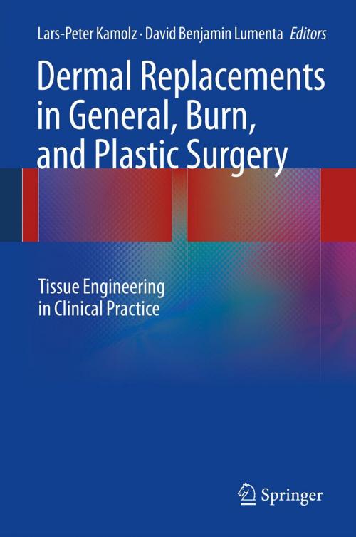 Cover of the book Dermal Replacements in General, Burn, and Plastic Surgery by , Springer Vienna